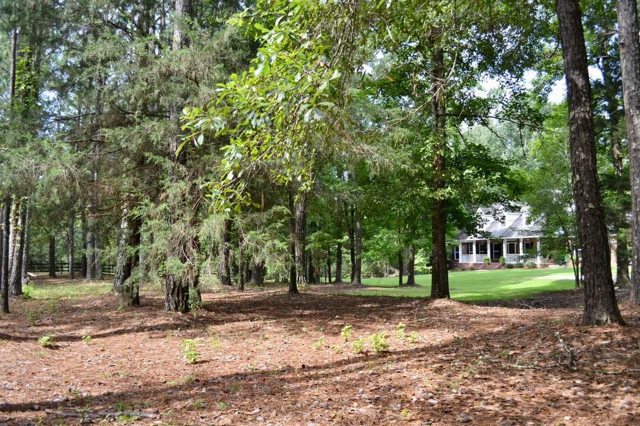 7330 Society Hill Rd - Photo 5 of 34