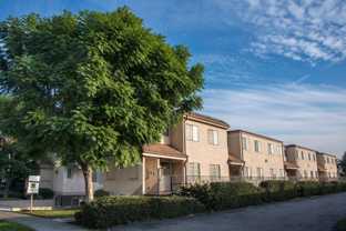 elm132 - Photo 1 of 1