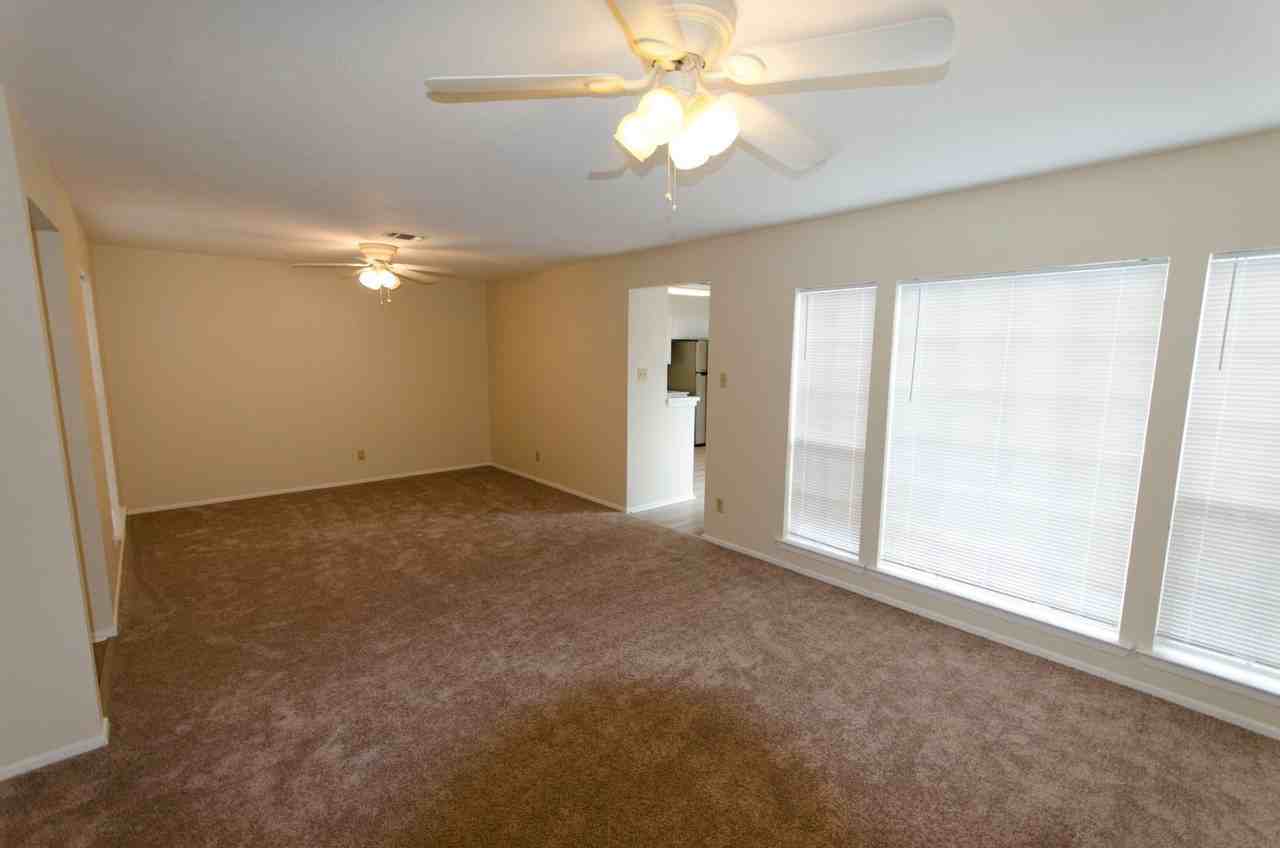 915 Todd Ln - Photo 4 of 17