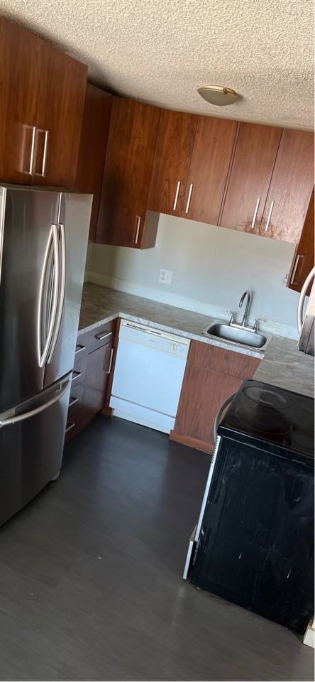 3802 Rae St #1 - Photo 4 of 13