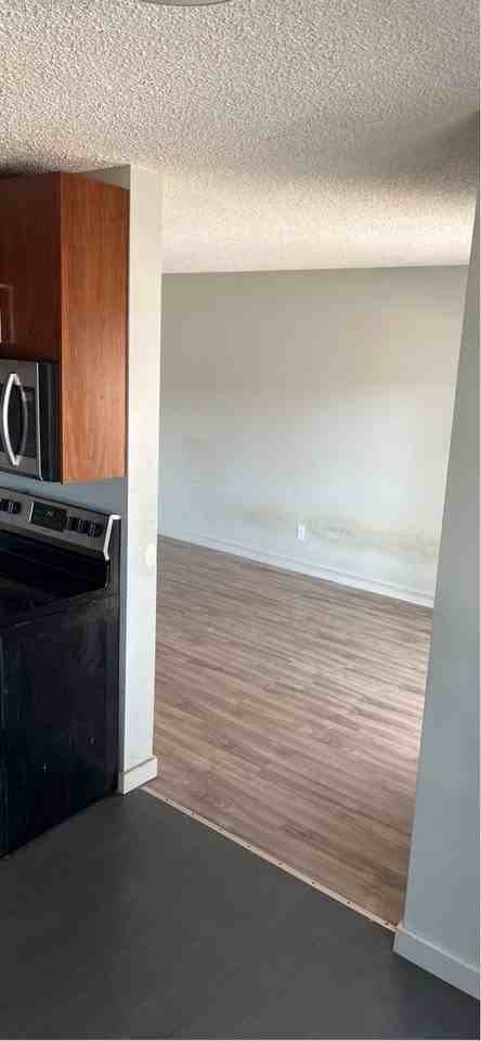 3802 Rae St #1 - Photo 5 of 13