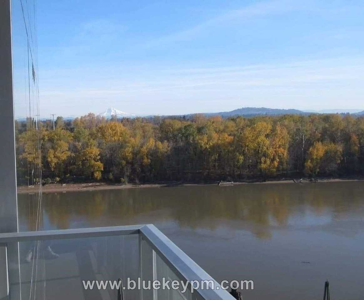 841 S Gaines St #1010 - Photo 2 of 14