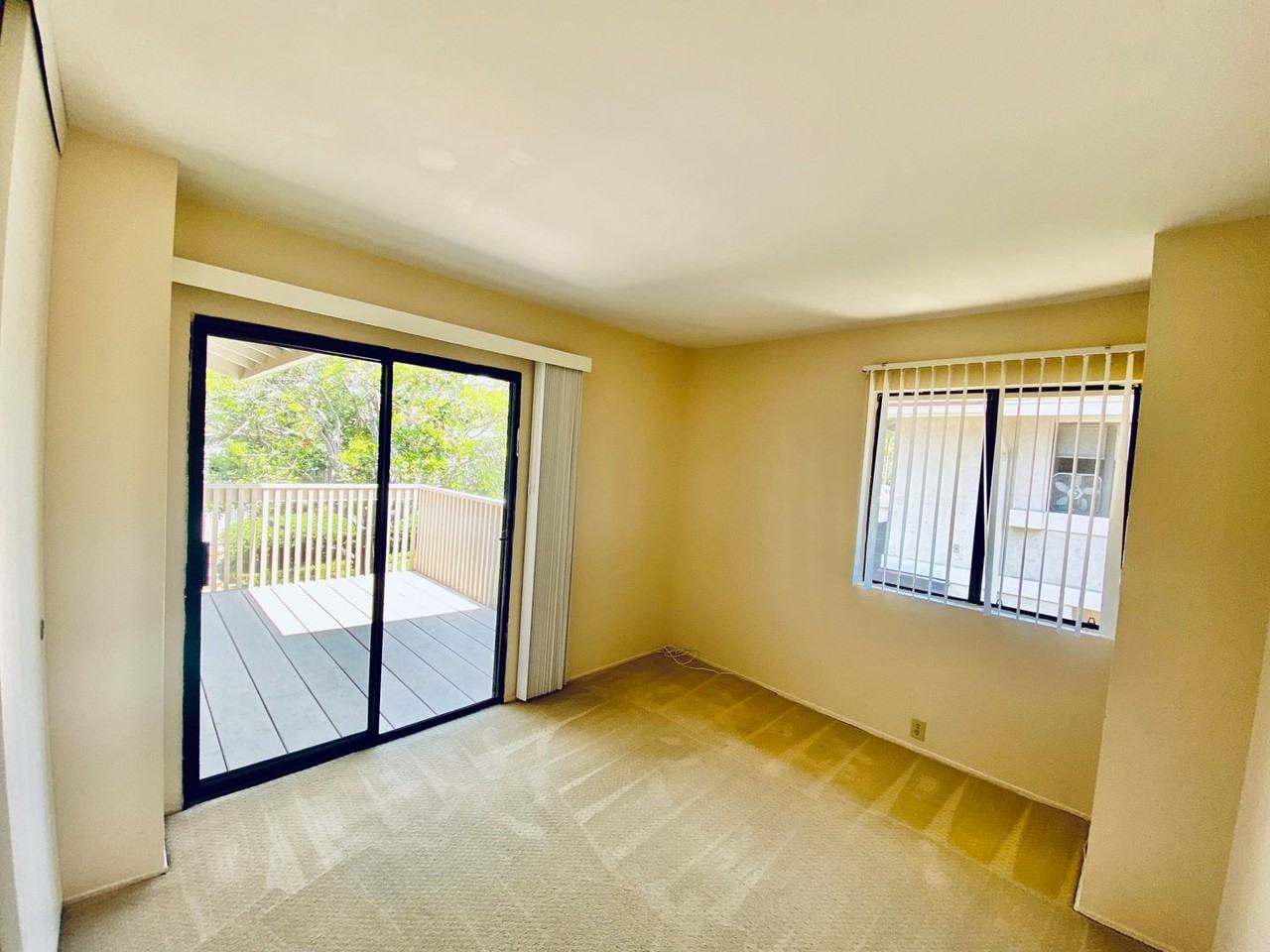 3946 Camino Lindo - Photo 7 of 13