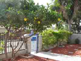 featured image of 4234 Sycamore Dr #NA