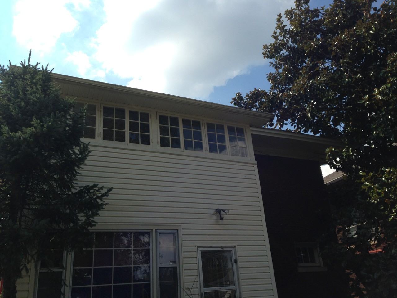 1109 Richmond Rd #2 - Photo 4 of 17