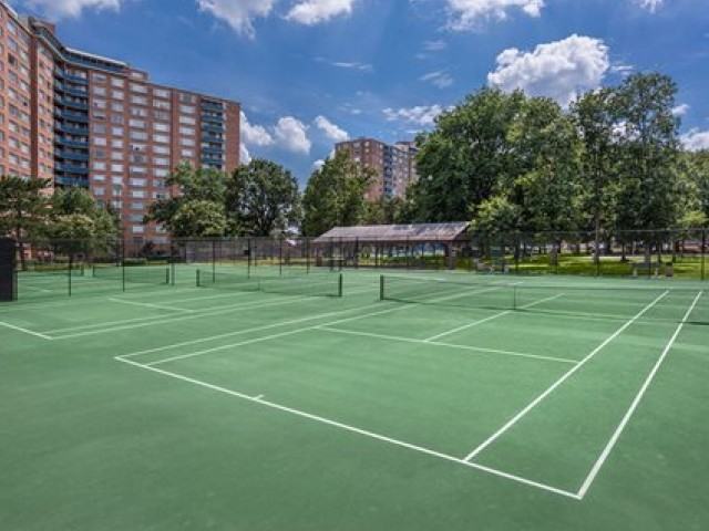 5005 Seminary Road - Photo 6 of 9