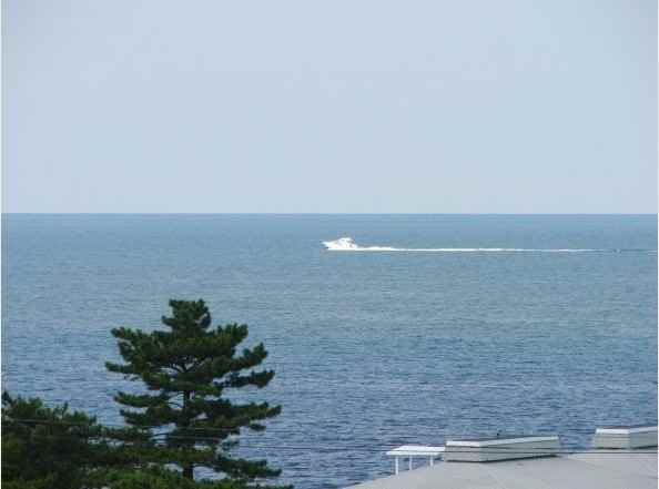 Royal Mace Apartments - Photo 4 of 9