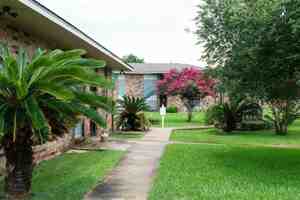 featured image of 317 Guilbeau Rd