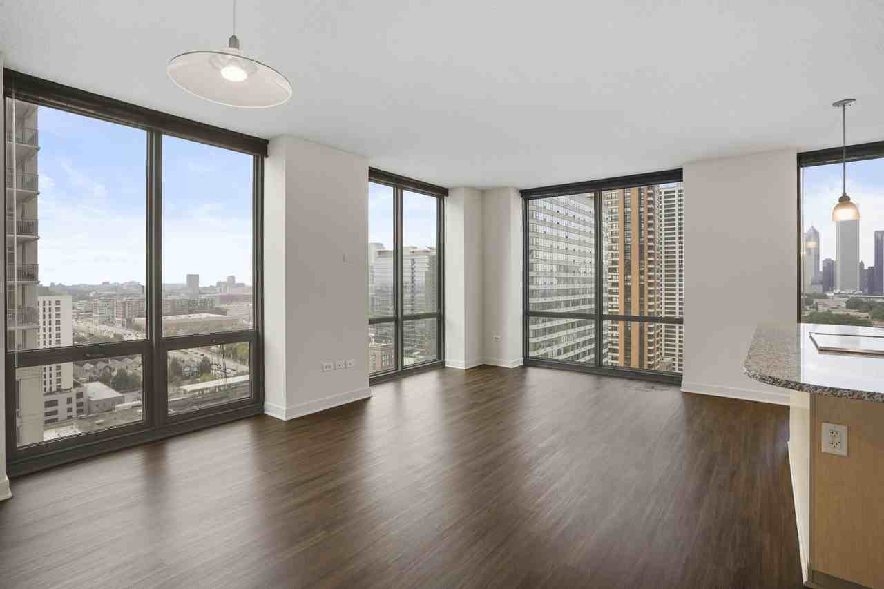 1255 S Michigan Ave #1-1PH - Photo 3 of 20