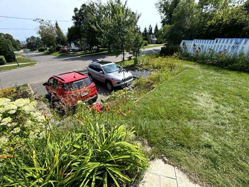 112 Ruttan St - Photo 3 of 31