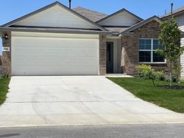 featured image of 198 Sparrowhawk