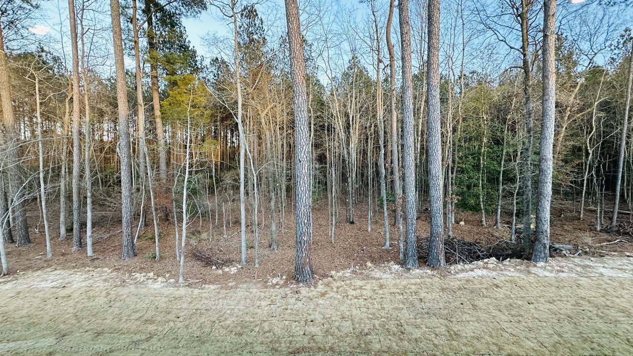 5324 Stream Stone Way #5324 - Photo 7 of 28