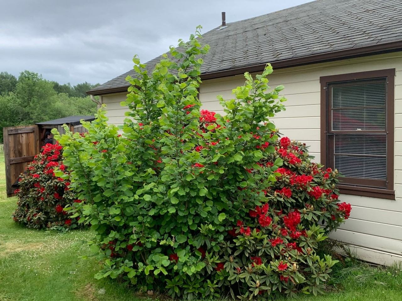 1817 Sw Brooklane Dr - Photo 3 of 12