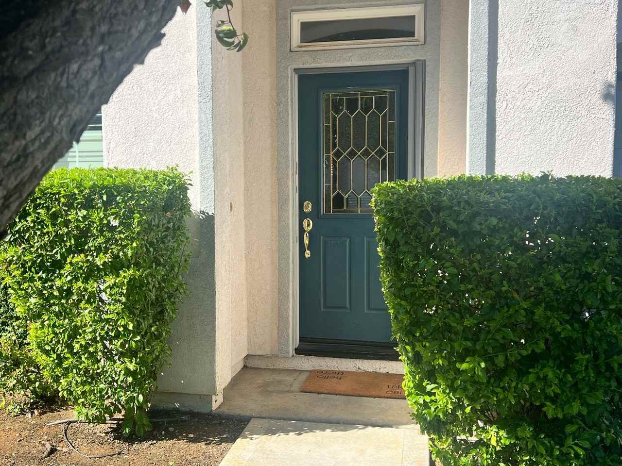 1619 Regent Dr - Photo 3 of 41