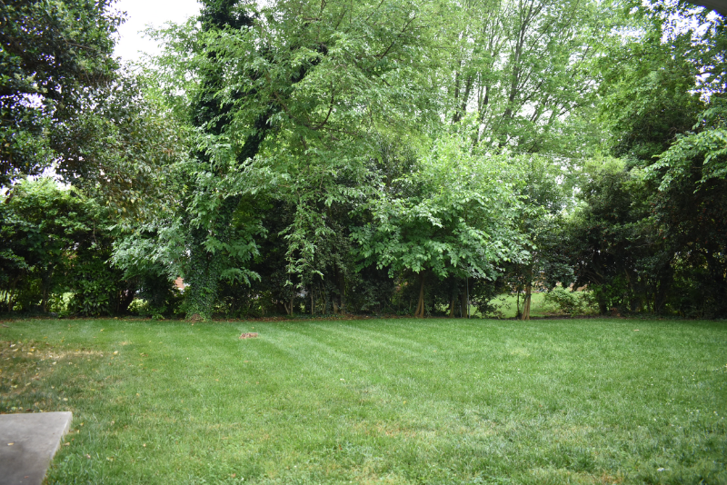 1234 Paddock Cir - Photo 3 of 19