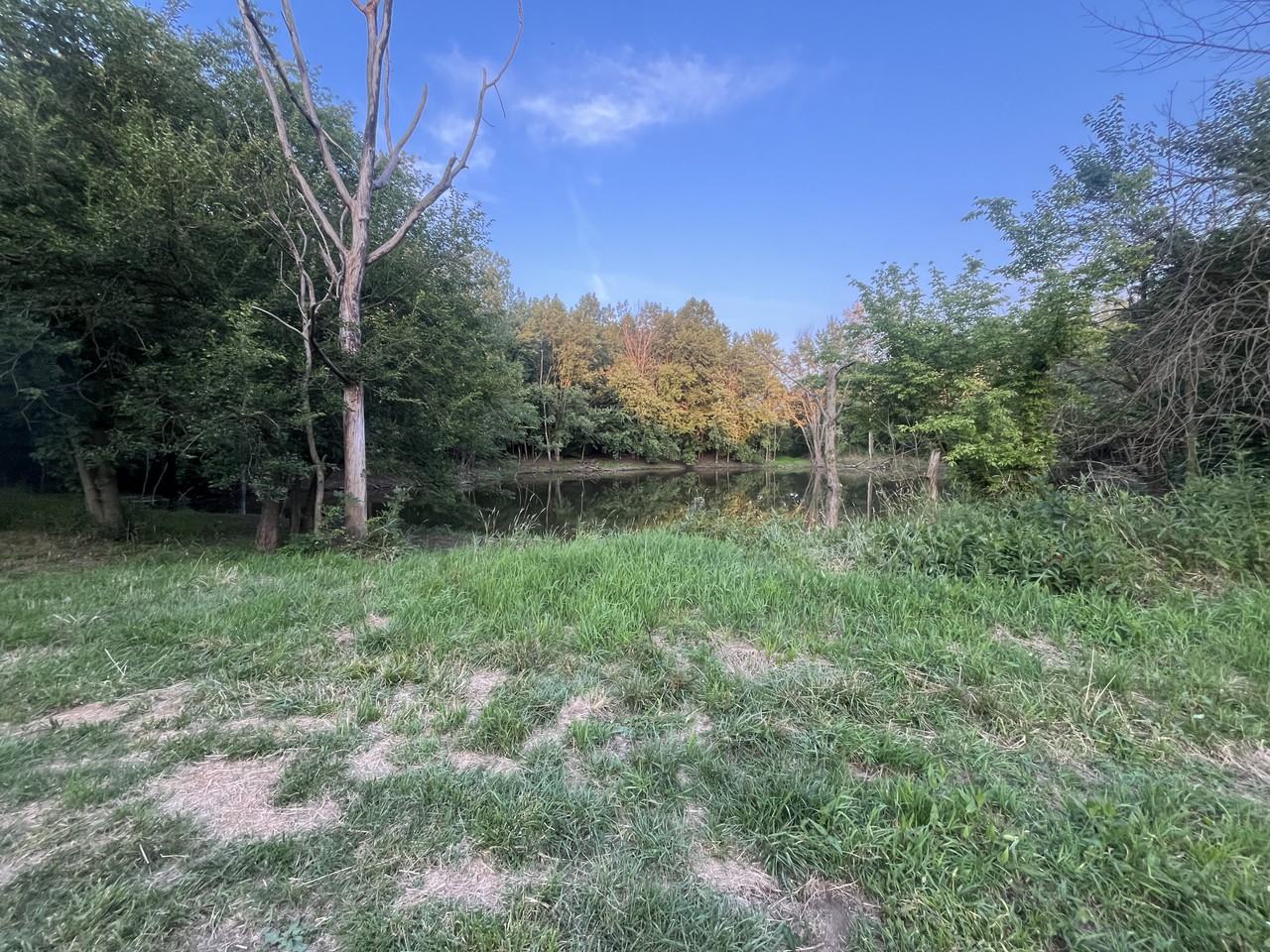 111 Jackson Blvd #NA - Photo 4 of 23