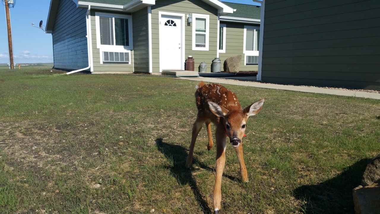Prairie Meadows Townhomes - Photo 2 of 45