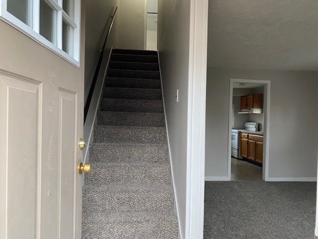 68 Stockwell St #68 - Photo 2 of 14