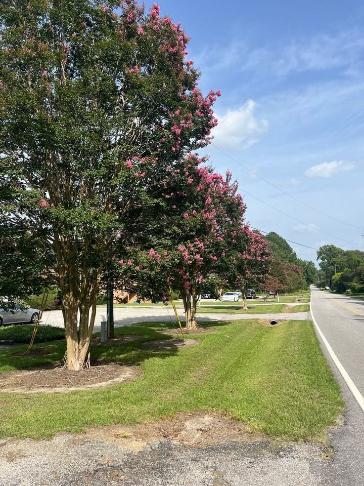 LAM Properties - Photo 2 of 9