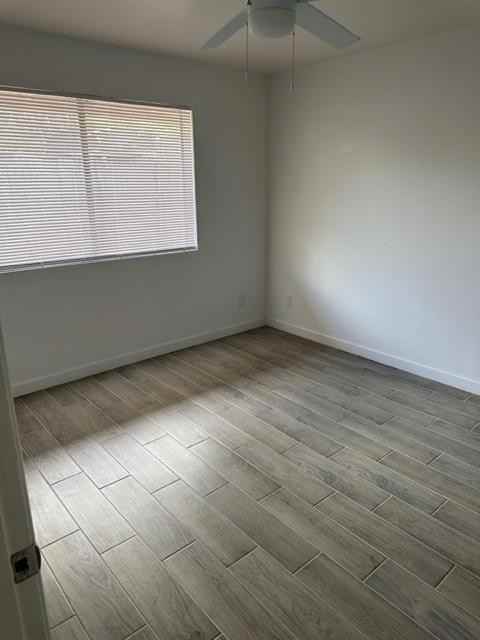 Tropicana - Photo 7 of 10