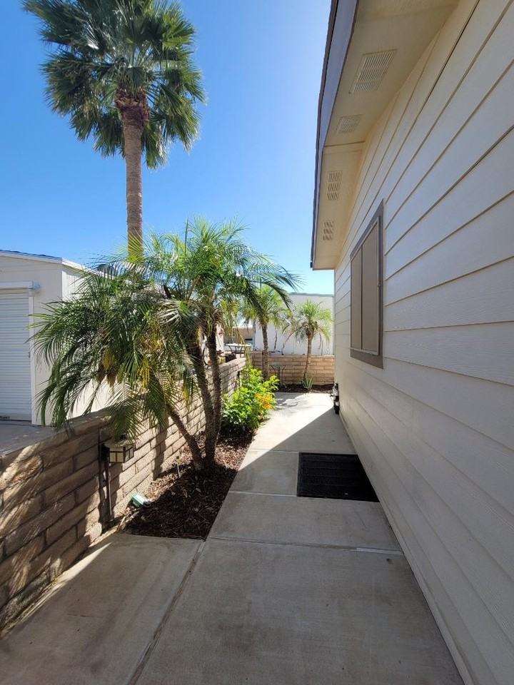 Vines - Photo 2 of 22