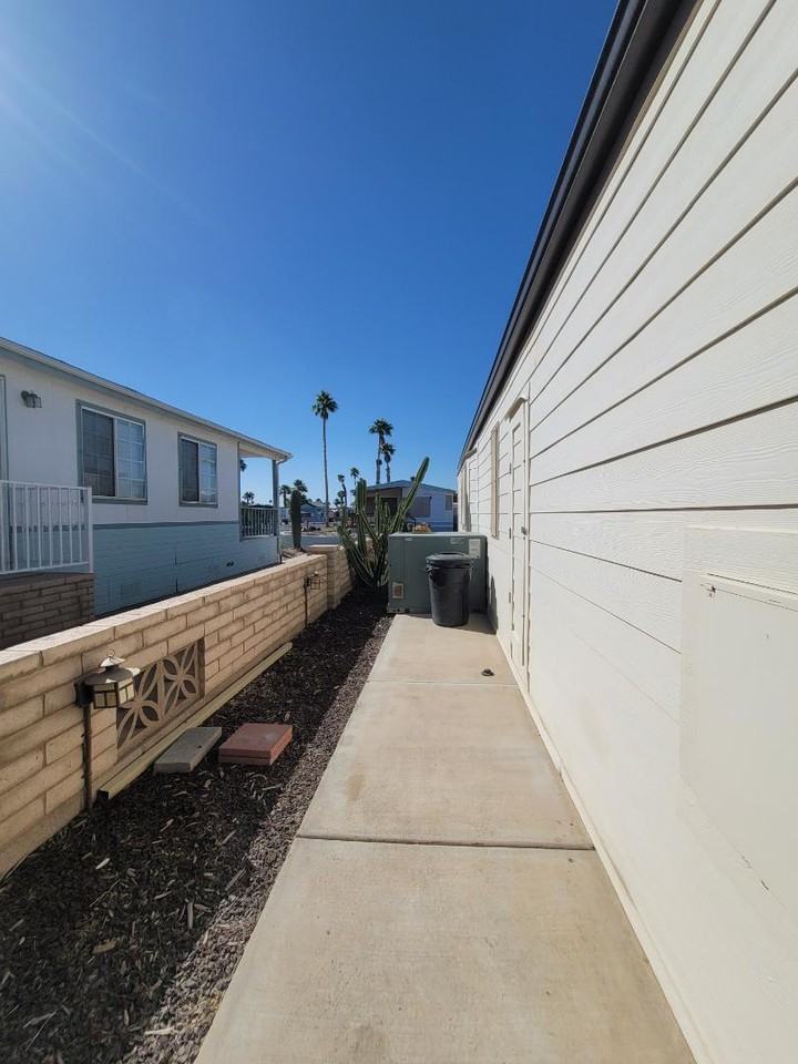 Vines - Photo 3 of 22