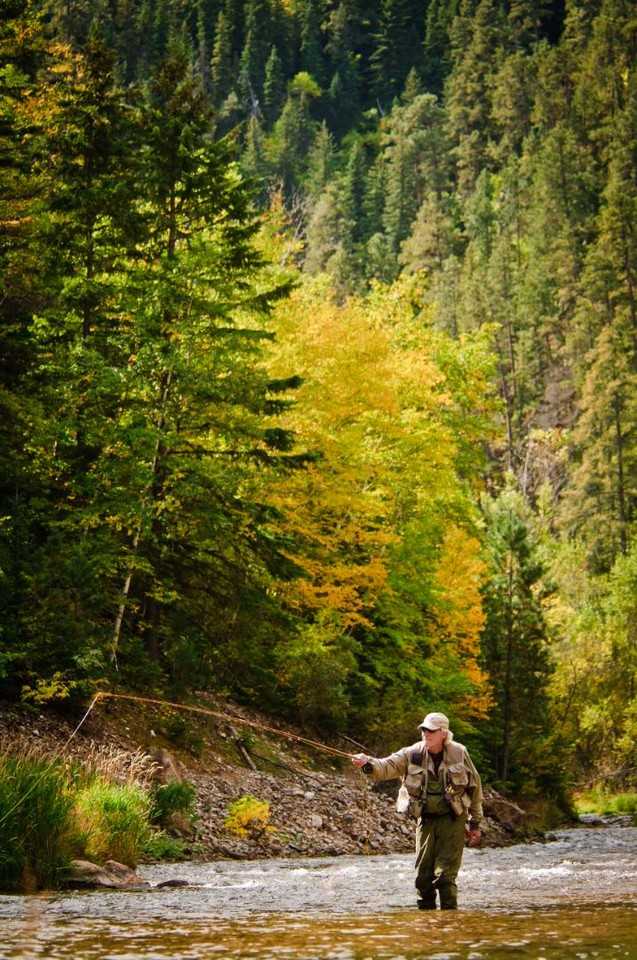 The LOFTs - Photo 6 of 10