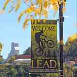 The Mother Lode - Photo 1 of 1