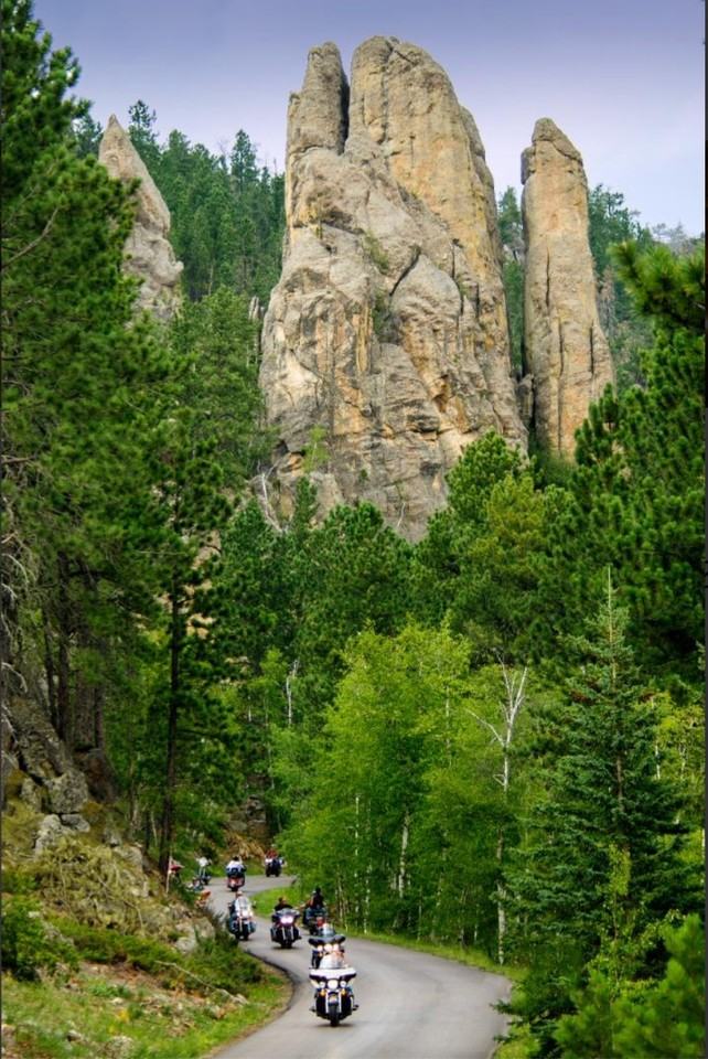 The Mother Lode - Photo 4 of 50