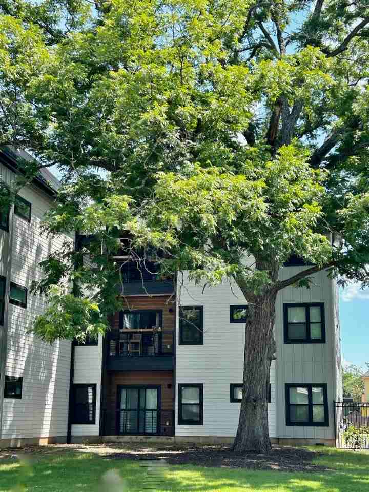 3101 Govalle Ave - Photo 3 of 7