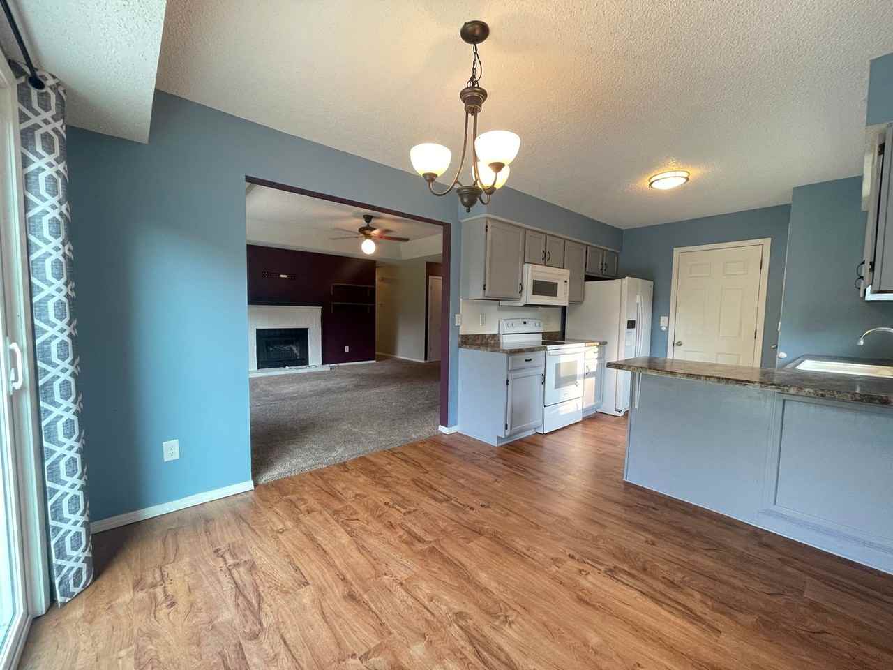 1441 W Seminole St - Photo 4 of 20