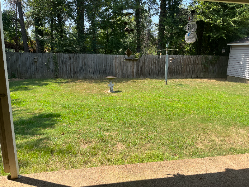 3835 Melanie June Dr - Photo 3 of 13