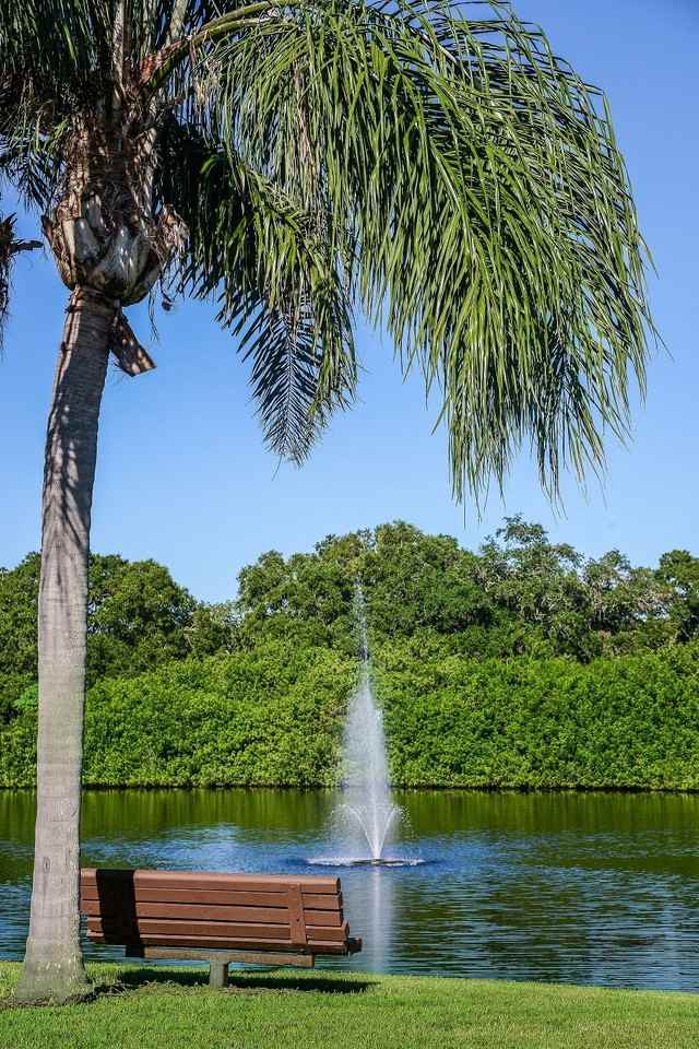 Timber Chase at Sarasota Bay - Photo 4 of 23