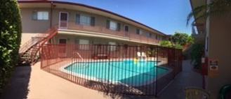 Juniper - Photo 1 of 1