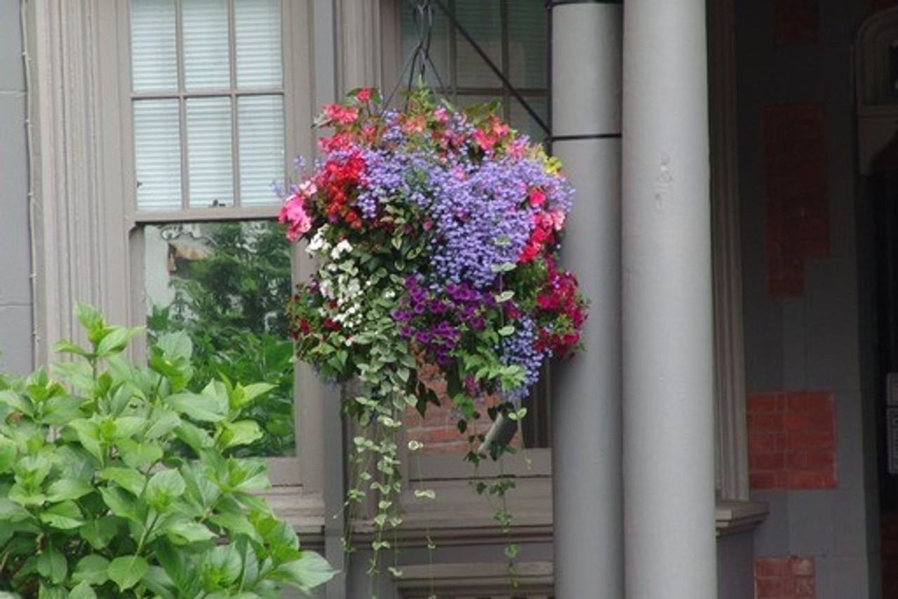 Lucretia Court Apartments - Photo 3 of 5