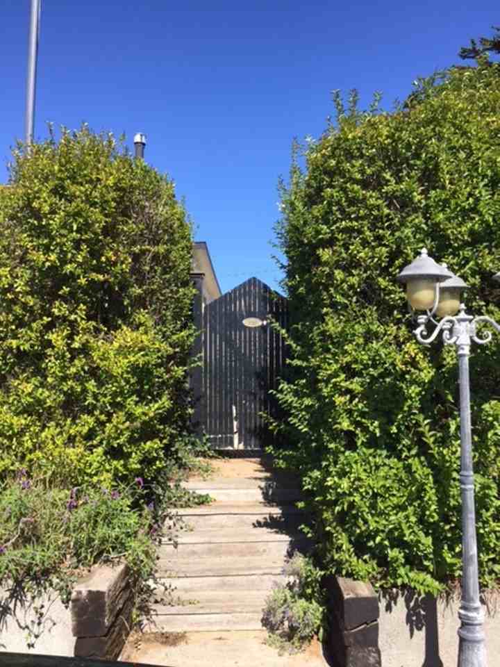 1130A Bodega Ave - Photo 3 of 11