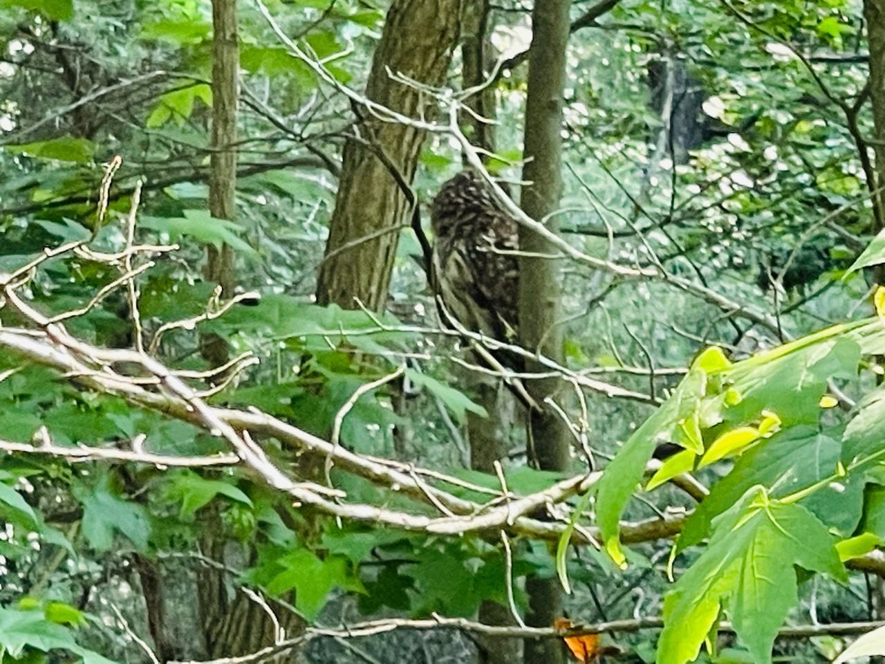 359 Timberland Dr - Photo 3 of 33