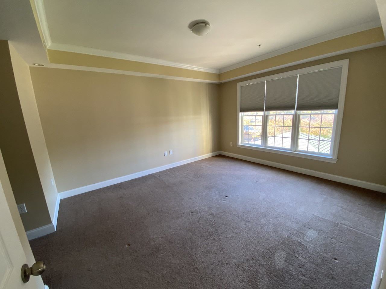 1029 University Ave #202 - Photo 3 of 10