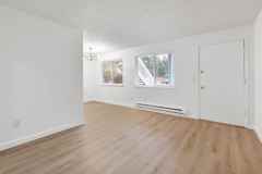 The Woods - Photo 1 of 1