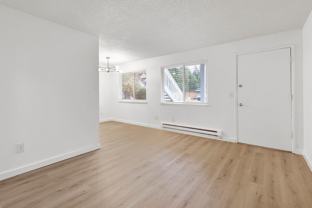 The Woods - Photo 1 of 1