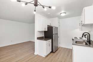 The Woods - Photo 1 of 1