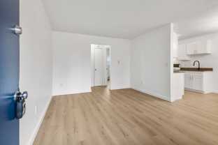 The Woods - Photo 1 of 1