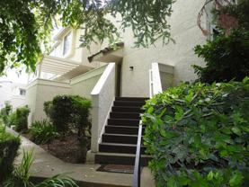 3008 Swallows Nest Dr - Photo 1 of 1