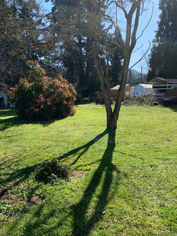 151 Long St - Photo 3 of 27