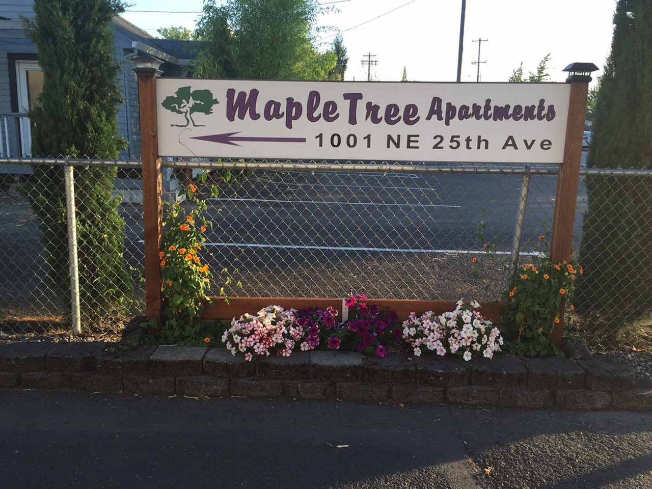 MAPLE--* - Photo 4 of 42