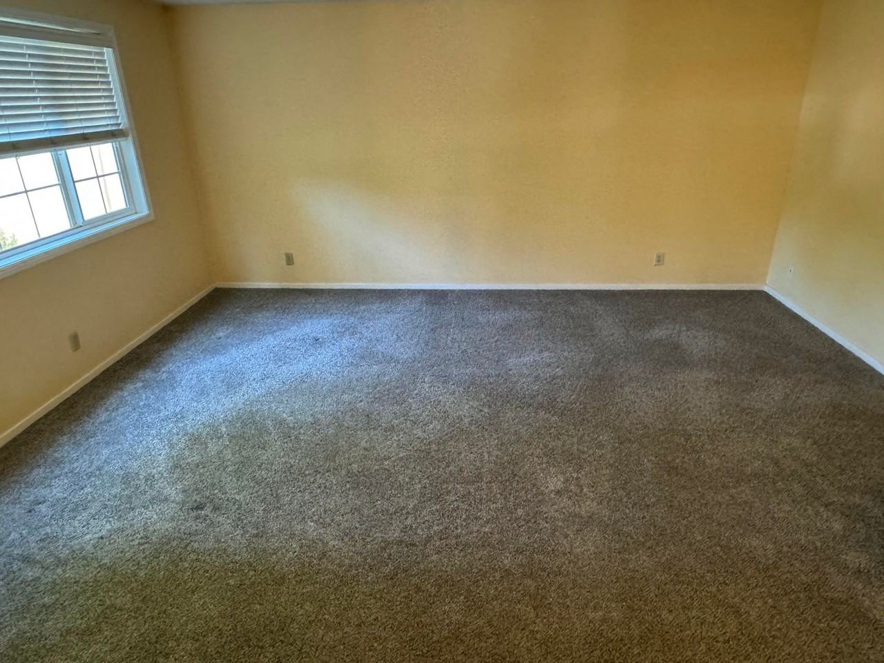 3406 Harlow Rd - Photo 6 of 39