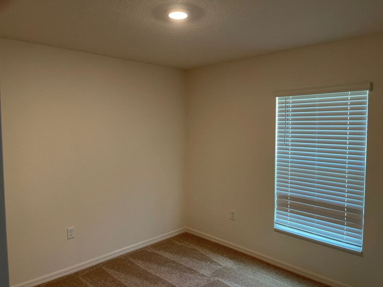 75 Raleigh Dr - Photo 4 of 23