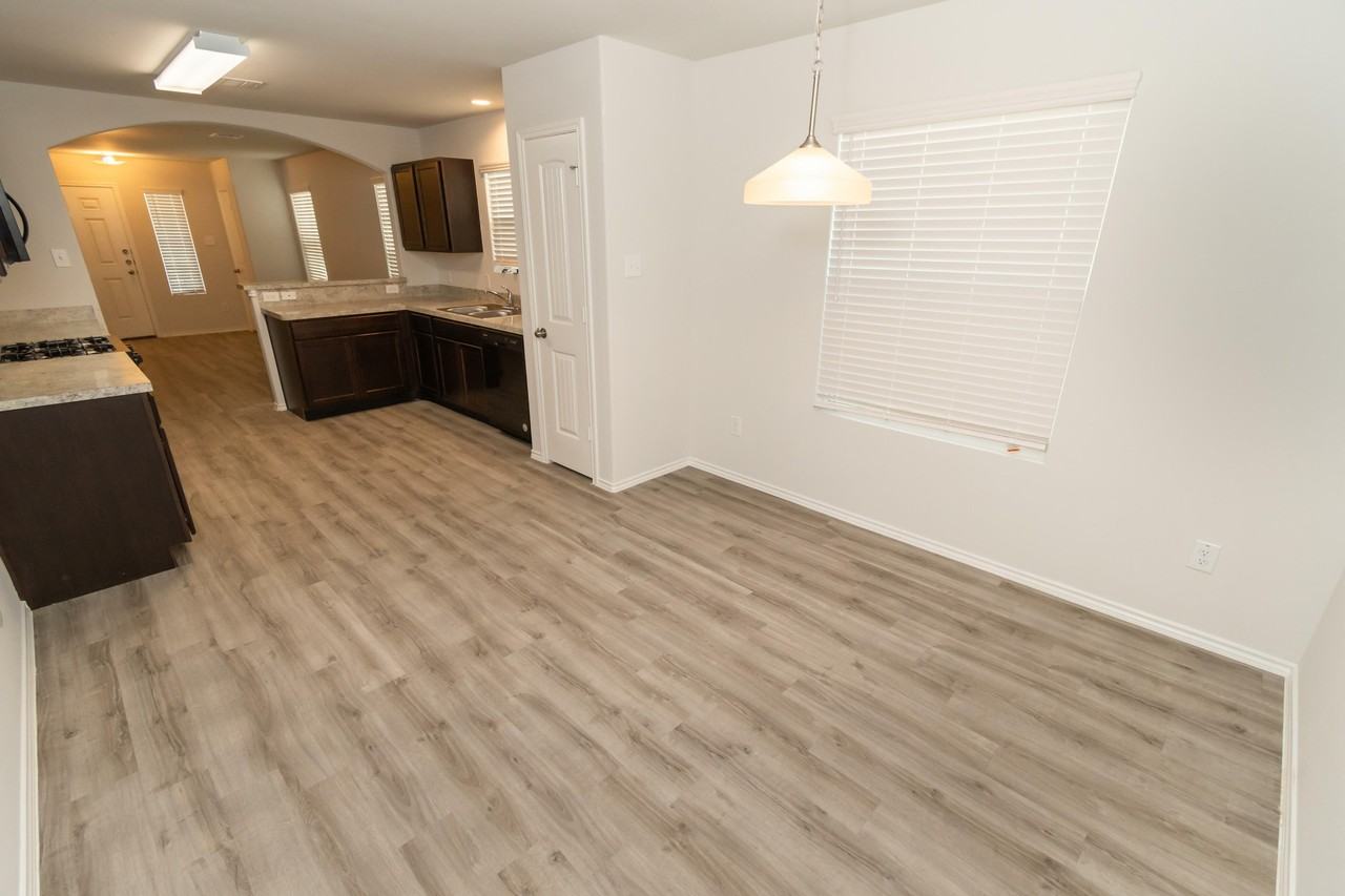 Camellia - Photo 4 of 38