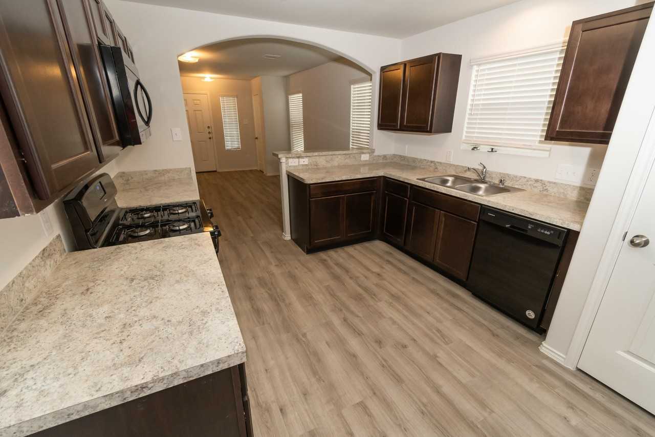 Camellia - Photo 5 of 38