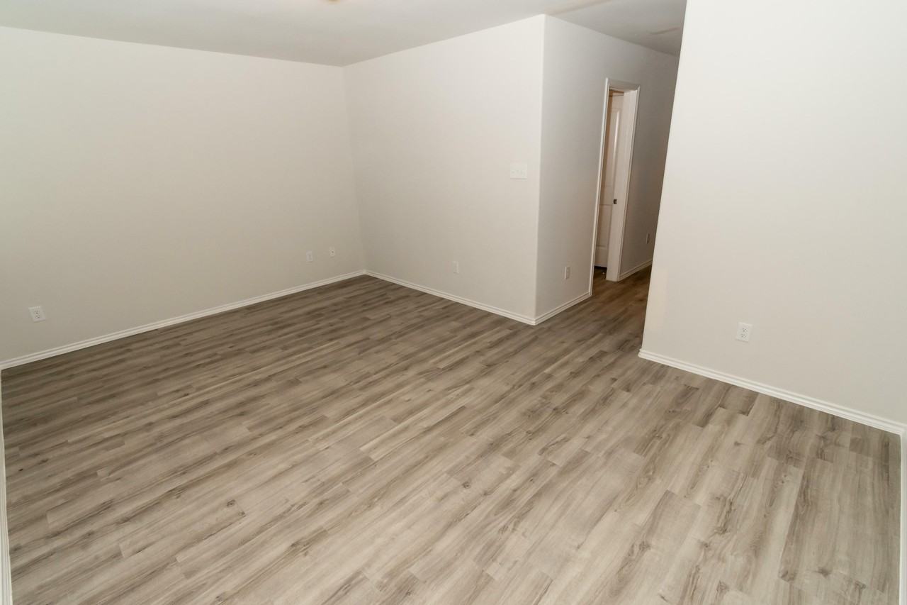 Camellia - Photo 6 of 38